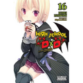 High School DXD, Vol. 16 (Light Novel) - Paperback