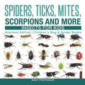 Spiders, Ticks, Mites, Scorpions and More Insects for Kids - Arachnid Edition Children's Bug & Spider Books - Paperback