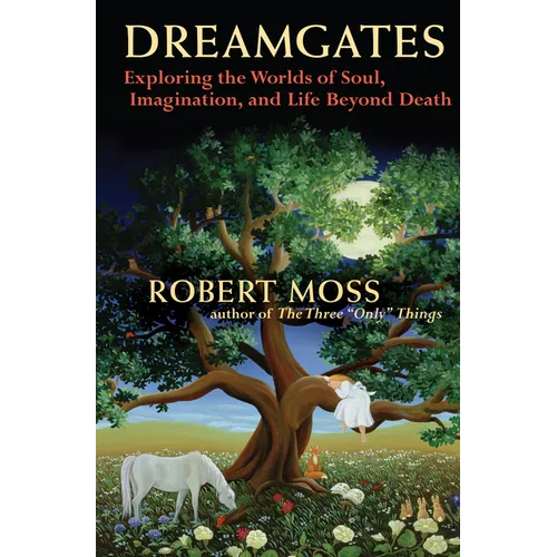 Dreamgates: Exploring the Worlds of Soul, Imagination, and Life Beyond Death - Paperback