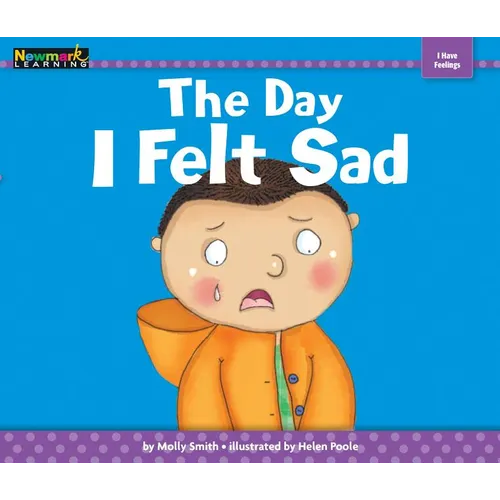 The Day I Felt Sad - Paperback
