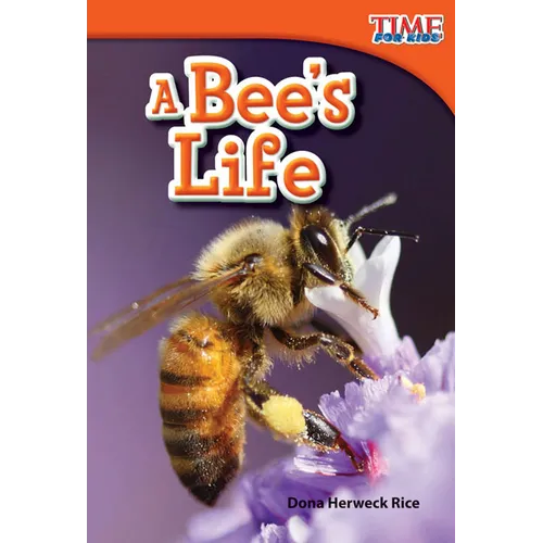 A Bee's Life - Paperback