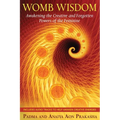 Womb Wisdom: Awakening the Creative and Forgotten Powers of the Feminine [With CD (Audio)] - Paperback