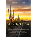 A Perfect Loss - Paperback