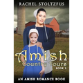 Amish Country Tours Book 2 - Paperback